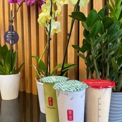 Gong Cha - Our drinks
