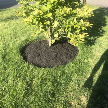 Omc Landscape - Landscaping Near Me