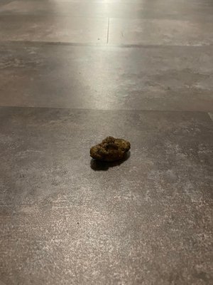 The Yards at Union Station by null