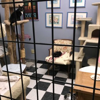 Famous Fido Rescue - Animal Shelters Near Me - Chicago, Illinois