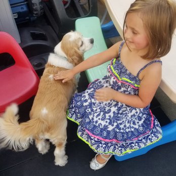 Tender Beginnings Daycare - Friendly furry Oakley - Child Care & Day Care Near Me - Queens, New York