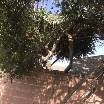 3D Tree Services, Inc. - Tree Services Near Me 3D Tree Services, Inc. - Tree Services Near Me