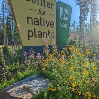 Center for Native Plants - Nurseries & Gardening Near Me - Whitefish, Montana Center for Native Plants - Nurseries & Gardening Near Me - Whitefish, Montana