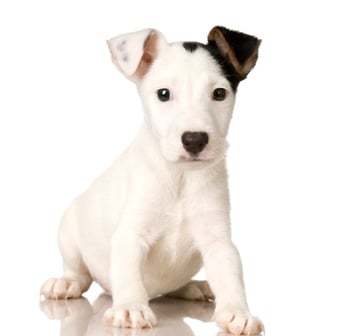 Clark Law - divorce attorney in Manchester, NH