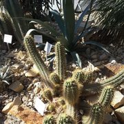 Foto zu Tropengewächshäuser des Botanischen Gartens - Hamburg, Deutschland