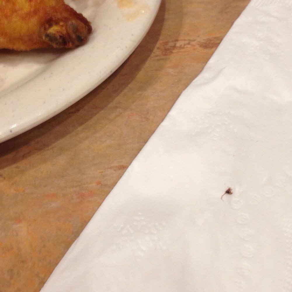 China Buffet - There is our dead friend after I flipped out to get it out of my drink - Chinese Near Me - Methuen, Massachusetts