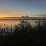 Photo of Holey Land Wildlife Management Area