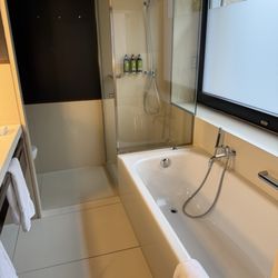 The Hotel - Shotgun bathroom