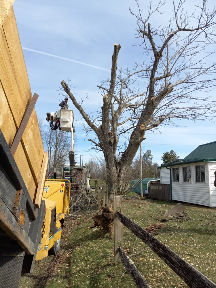 J & N TREE SERVICE Updated October 2024 Request a Quote Rock Cave