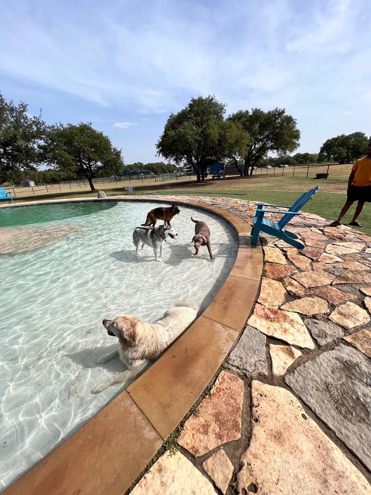 JUMPING JACK DOG RANCH 85 Photos & 46 Reviews 13731 Carpenter Ln