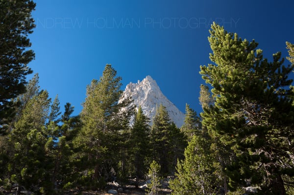 Cathedral Peak by null