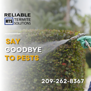 Reliable Termite Solutions - Stop Pests in Their Tracks!
Our general pest control service will take care of all your indoor and outdoor pest needs. $47 Summer Special - Pest Control Near Me - Turlock, California Reliable Termite Solutions - Stop Pests in Their Tracks!
Our general pest control service will take care of all your indoor and outdoor pest needs. $47 Summer Special - Pest Control Near Me - Turlock, California