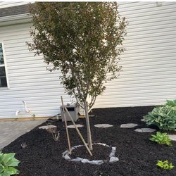 Drewski Lawn Care