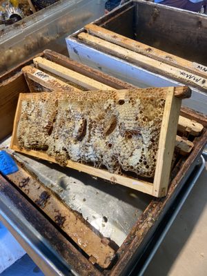 Two Hives Honey by null Two Hives Honey by null