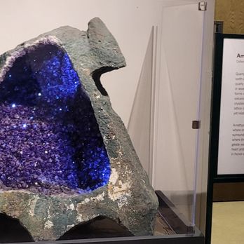 Museum Of Nature & Science Address