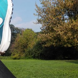 Bosco in Città