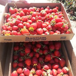 Richardson Family Farm