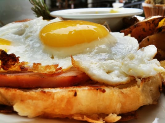 The Crema Cafe by null