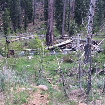 Commemorative Emigrant Trail - Hiking Near Me - Truckee, California