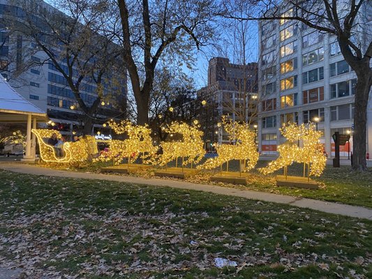 Zeidler Union Square Park by null
