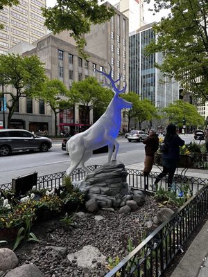 Harry Potter Shop Chicago by null