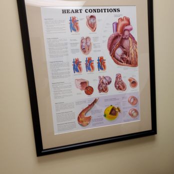 David Bello, MD - Cardiologists Near Me - Orlando, Florida