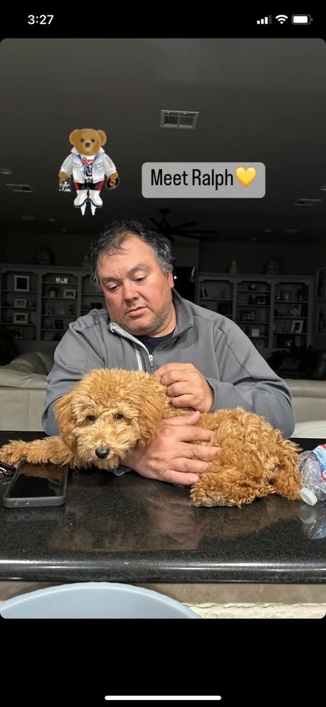 Adriana Trains Dogs Logo