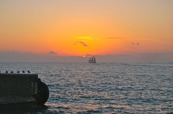 Sunset Celebration at Mallory Square by null