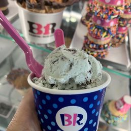 Mint Chocolate Chip