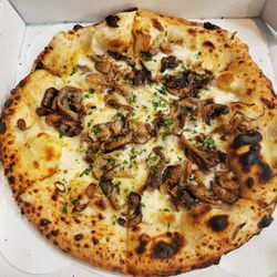Mushroom pizza
