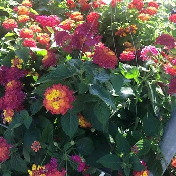 Family Tree Nursery - Nurseries & Gardening Near Me - Liberty, Missouri