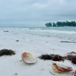 Happy Paddler Kayak Tours & EcoVentures - Beer Can Beach was one of our stops.
