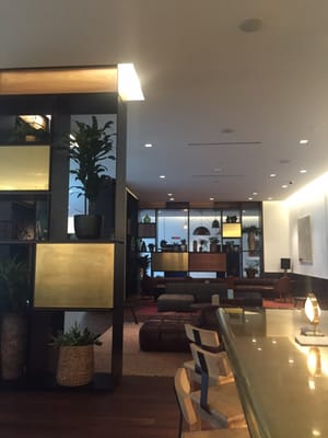 South Congress Hotel by null