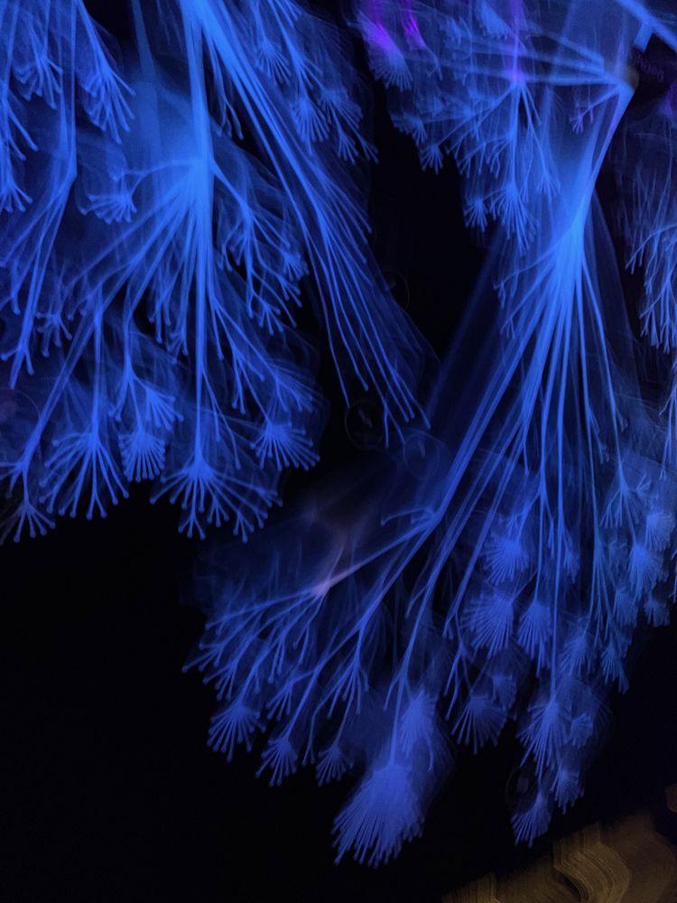 Micropia