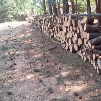 Apex Outdoor Tree Services - Tree Services Near Me Apex Outdoor Tree Services - Tree Services Near Me