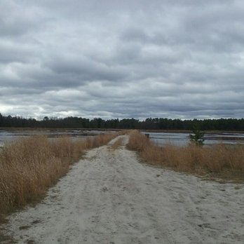Brendan T Byrne State Forest - Cranberry bog - Parks Near Me - New Lisbon, New Jersey Brendan T Byrne State Forest - Cranberry bog - Parks Near Me - New Lisbon, New Jersey