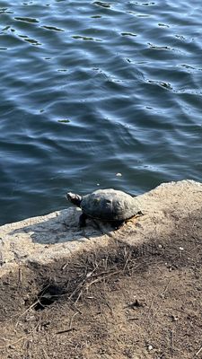 Laguna Lake Park by null