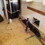 Photo of Tiny Idahomes