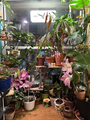 Terra Thai by null Terra Thai by null