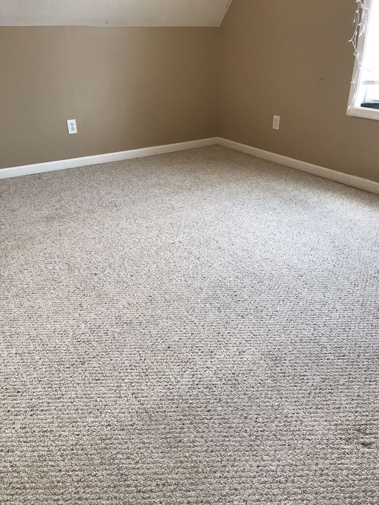 TAYLOR HOME SOLUTIONS 10 Photos & 56 Reviews Carpet Cleaning