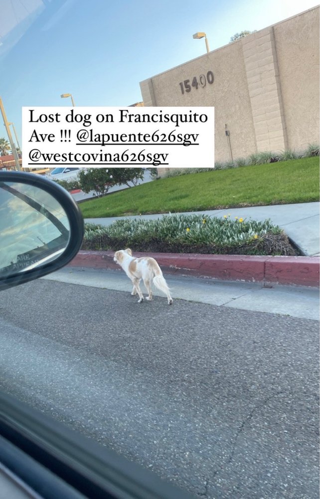 WALNUT APARTMENTS Updated September 2024 10 Reviews 15400 Francisquito Ave, La Puente