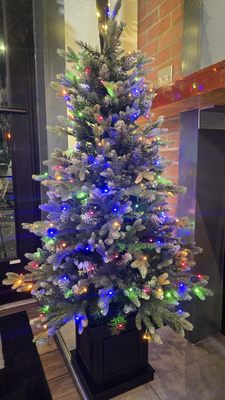 Poke Square Ballard (seattle) by null