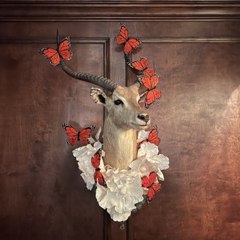 Tiger and Peacock - a deer head with butterflies on its antelope - Cocktail Bars Near Me - Memphis, Tennessee Tiger and Peacock - a deer head with butterflies on its antelope - Cocktail Bars Near Me - Memphis, Tennessee