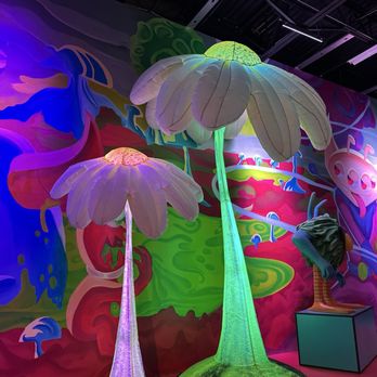Seismique - Arts & Entertainment Near Me - Houston, Texas