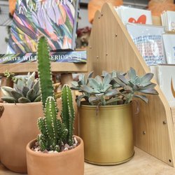 The Plant Shoppe - February 2023