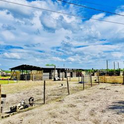 Cowford Farm - Cowford Farm