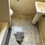 Photo of Dean’s Cleaning Services