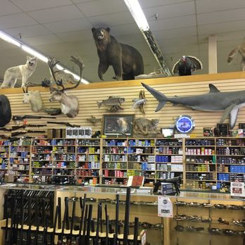 Double Eagle Pawn - What kind of shark is that, he asked. I dunno, reef? No, LOAN SHARK HAHAHAH grrrroan. - Pawn Shops Near Me - Deer Park, Washington Double Eagle Pawn - What kind of shark is that, he asked. I dunno, reef? No, LOAN SHARK HAHAHAH grrrroan. - Pawn Shops Near Me - Deer Park, Washington