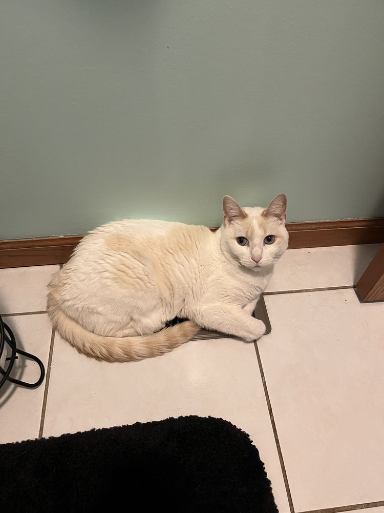 BEECHER VETERINARY CLINIC Updated September 2024 17 Reviews 700