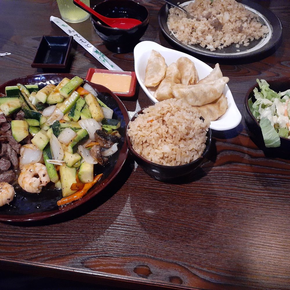 Ichiban 2 - My hibachi shrimp and steak dinner with fried rice, more salad, beef fried rice and Gyoza - Sushi Bars Near Me - Point Pleasant, West Virginia